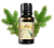 Эфирное масло Сосны 10 мл, Саттва Аюрведа; Essential Oil Pine 10 ml, Sattva Ayurveda